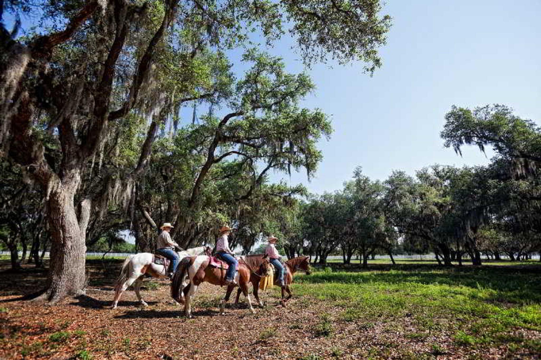 Westgate River Ranch Resort & Rodeo Eksteriør bilde